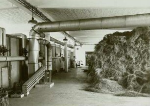 Flachsröste, Arbeitsabläufe, Neusalza-Spremberg, 1938