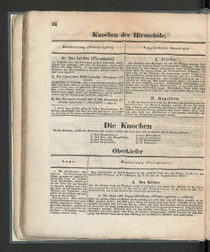 [Die Knochen des Gesichts.]