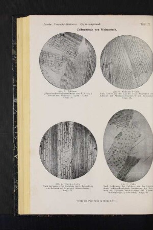 Tafel II. Zellmembran von Weizenstroh.
