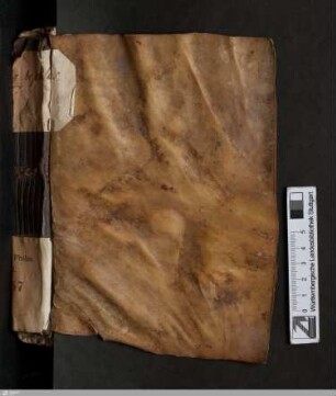 Büchlein der ewigen Weisheit - Cod.theol.et.phil.qt.57