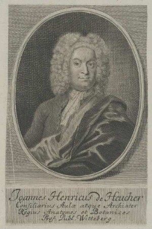 Bildnis des Johann Heinrich Heucher