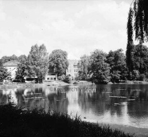 Mühlenteich: Blick von Süden Am Mühlenteich auf gegenüberliegendes Ufer: hinten links zwischen Bäumen Elektriziätswerk Reinbek-Wentorf GmbH [später: e-werk Sachsenwald]: hinten Mitte Schloss Reinbek hinter Bäumen: vorn Gräser und links Baumzweige
