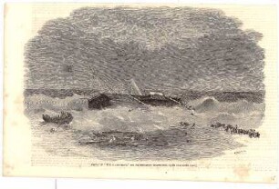 Wreck of the "Polyphemus", off Hautsholmen Lighthouse