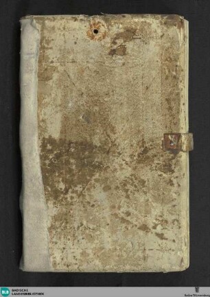 Buch der Chiromantie - Cod. Donaueschingen 815