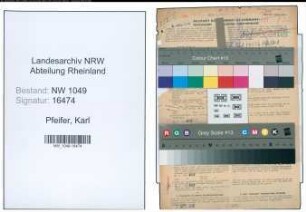 Entnazifizierung Karl Pfeifer , geb. 16.12.1900 (Postarbeiter)