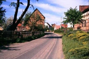 Straße, Gärten, Grünstreifen und anliegende Häuser