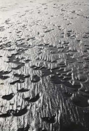 Schlickige Ebene im Watt