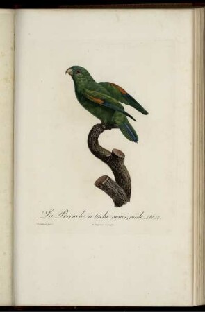 Pl. 58 [bis] Pl. 79 [Pl. siehe arabische Paginierung]