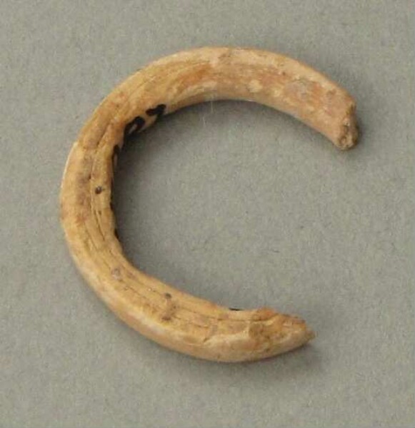 Fragment of a finger ring