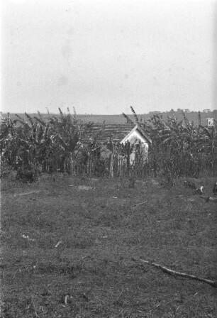 Fazenda : Bananenplantage mit Wirtschaftsgebäude.