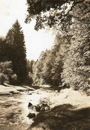 Striegistal : Mittelsachsen. Striegistal am Fuß des Hohen Steines bei Berbersdorf flußaufwärts