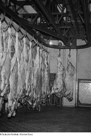 Schweinehälften am Haken in einem Schlachthof