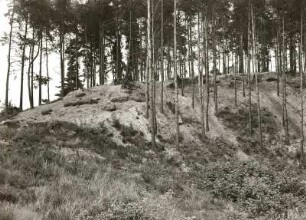 Mittelsächsisches Hügelland. Braunkohlen-Sandstein-Bänke bei Pößig