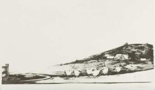 Landschaft mit Gänsen
