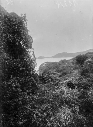 Lake Kivu : Blick vom Ufer des Lake Kivu auf den See