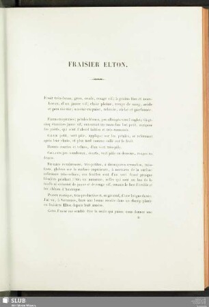 Fraisier Elton