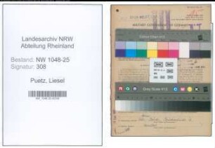 Entnazifizierung Liesel Puetz , geb. 14.12.1899 (Kaufmaennische Angestellte)