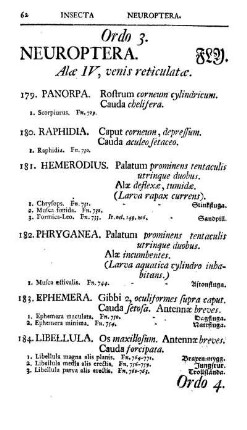 Ordo 3. Neuroptera