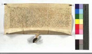 Der Guardian u. der Lehemeister der Barfüsser zu Marburg einigen sich mit dem Pfarrer zu Marburg über eine Turnose. Seelgeräte.