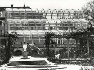 Insel Mainau, das neue Palmenhaus