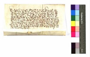 Herzog Stephan von Bayern teilt der Stadt Ulm mit, dass er die Reichssteuer für ein Jahr Agnes, der Witwe des Grafen Bertold von Graisbach und Marstetten, genannt von Neuffen, überlassen habe.