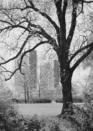 Dresden. Bürgerwiese : Dresden-Altstadt, Bürgerwiese. Parkpartie