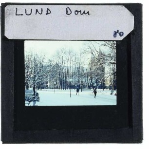 Lund, Dom