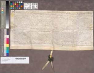 Urkunde, die sich auf das Testamentum viduae Margarethae Meschede geborne Rahm bezieht.