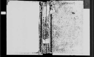 Wagenschwend, katholische Gemeinde: Standesbuch 1810-1866