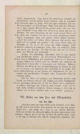 VII. Bilder aus dem Tier- und Pflanzenleben