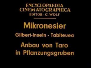 Mikronesier (Gilbert-Inseln, Tabiteuea) - Anbau von Taro in Pflanzungsgruben