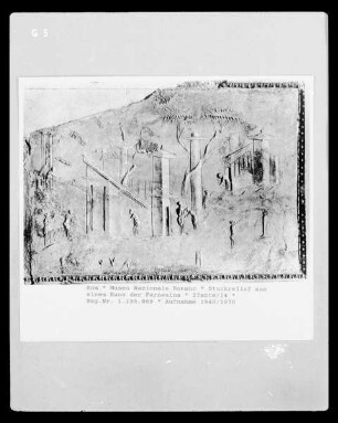 Stuckrelief aus einem Haus der Farnesina