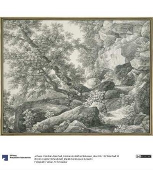 Felslandschaft mit Bäumen