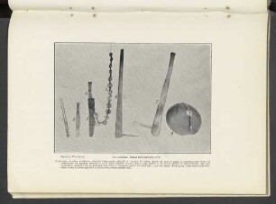 Plate LXXXIV.