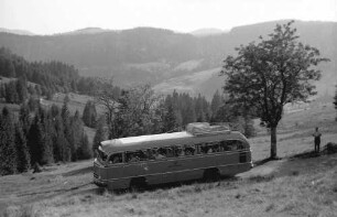 Menzenschwand: Postbus mit und Bergblick