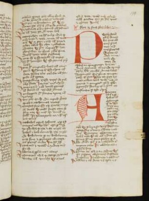 Lib. II: Verba