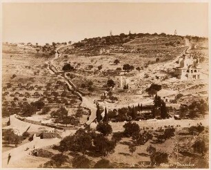 36. Mont des Oliviers - Jérusalem