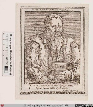 Bildnis Nathanael Tilesius (eig. Tilisch) von Tilenau