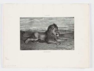 Lion de Perse