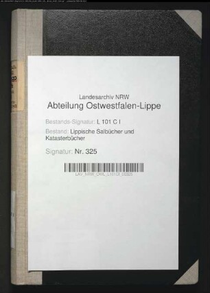 Salbuch der Stadt Lemgo von 1861, Bd. 3