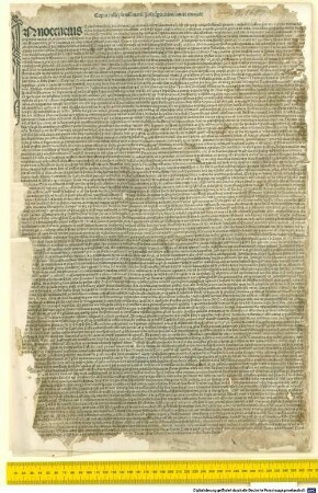 Bulla indulgentiarum "Domini et salvatoris". Rom, 1488.12.11.