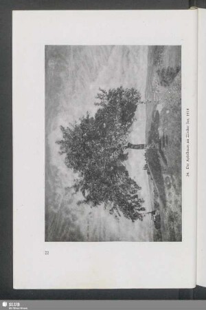 24. Der Apfelbaum am Zürcher See, 1914