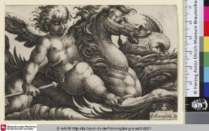 [Putto mit Ruder in der rechten Hand auf einem Seepferd reitend begleitet von einem Delphin]