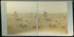Mts [mountains] of Edom & the 'Araba Plain [Wadi Kelt]