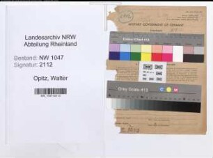 Entnazifizierung Walter Opitz , geb. 12.06.1891 (Angestellter)