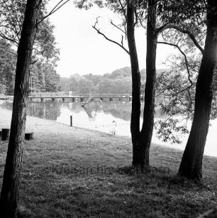 Badeanstalt: am Herrenteich: Blick vom Ufer auf Badesteg: im Vordergrund Liegewiese, Bäume, Schwan