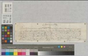 Papst Innocenz XI. dankt Bischof Ferdinand von Paderborn, Koadjutor zu Münster, für die durch Friedrich von Schmising mitgeteilten Briefe.