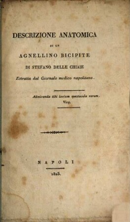 Descrizione anatomica di un aquellino bicipite