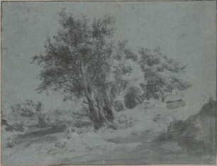 Baumgruppe und Weg, links Anwesen