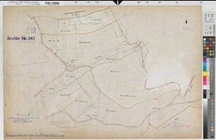 Langenholthausen (Balve), Blintrop (Neuenrade), Umlegung Langenholthausen-Blintrup, Bl.14 Urkarte II Blintrop Flur 6